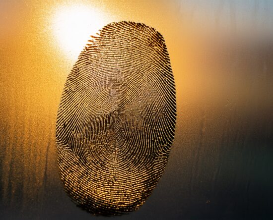 Close-up fingerprint on frosted glass backlit by sunset, warm orange gradient fading to blue.