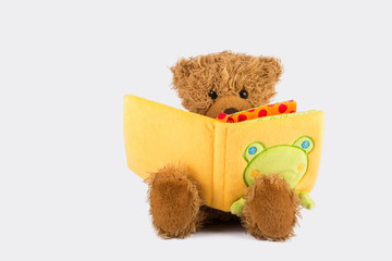 Brown teddy bear sitting and reading a yellow book with a frog illustration on the cover.